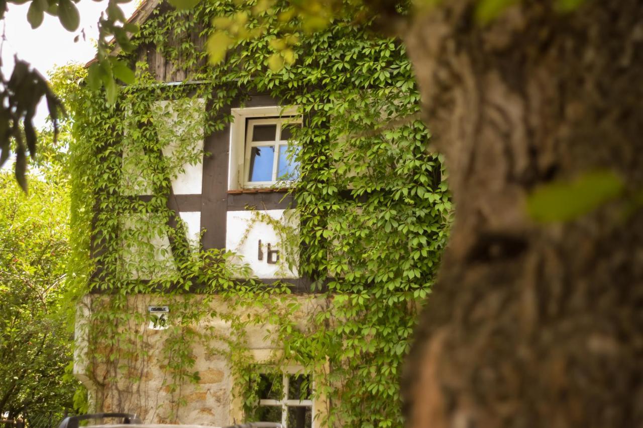 Naturferienwohnung Schöpstal Kunnersdorf Exterior foto